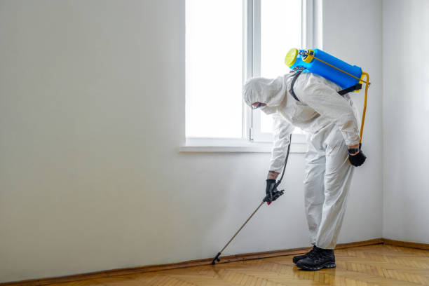 Professional Pest Control in Williams, AZ