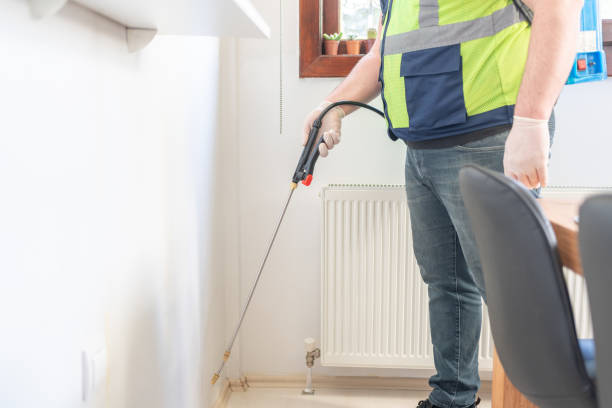 Best Ant Control Services  in Williams, AZ