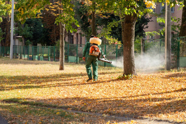 Best Flea Control Services  in Williams, AZ