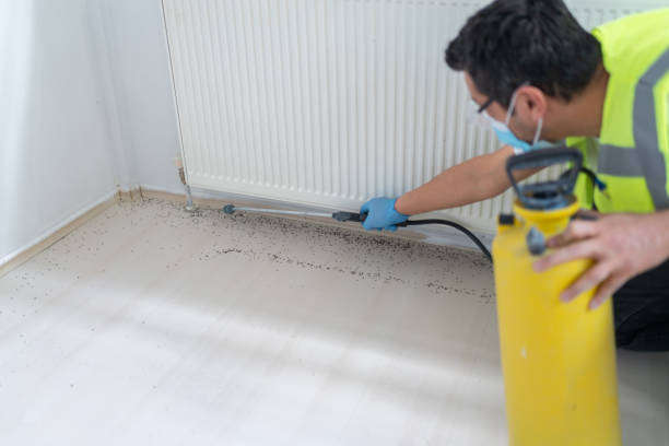 Best Pest Removal Services  in Williams, AZ