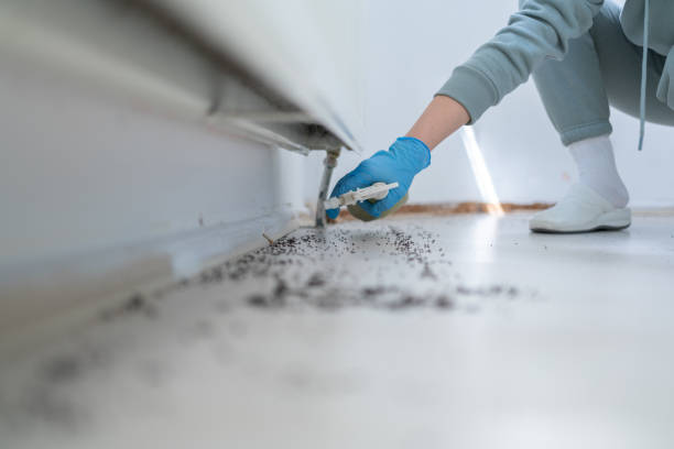 Pest Control Cost in Williams, AZ